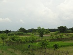 22031DSC00151.JPG