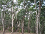15876IMG_4423.JPG