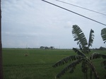 14315IMG_4655.JPG