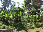 30181CIMG1715.JPG
