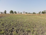 26609DSC00195.JPG