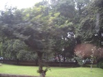 14987IMG_3795.JPG