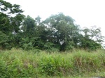 20040P1010891.JPG