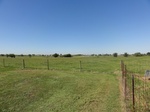 24714DSC01138.JPG