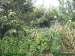 4422007-08-05_08-16-55_tag.jpg