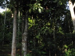 14622IMG_5000.JPG