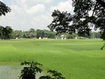 24635DSC00854.JPG