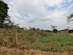 2012-08-31_10-24-49_CIMG0085.JPG