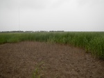 54456DSCN1737.JPG