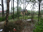 52077CIMG0067.JPG