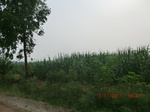 32824CIMG1956.JPG