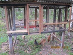 31838IMG_5318.JPG
