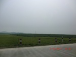 32995CIMG2145.JPG