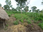 20900P1020766.JPG