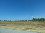 35501DSC03017.JPG