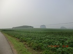 33137CIMG2373.JPG