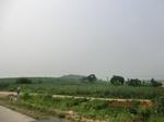 32991CIMG2141.JPG