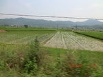 53880CIMG2905.JPG