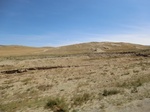 37831CIMG1638.JPG