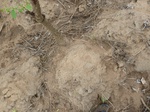 18599P1000436.JPG