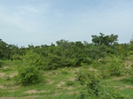 18753P1000591.JPG