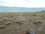 23050P1020521.JPG