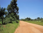 32134IMG_0552.JPG