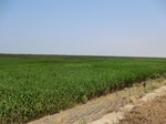 53814CIMG0325.JPG