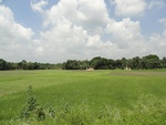 24626DSC00845.JPG