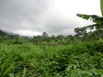 45499CIMG2584.JPG