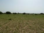 19129P1000974.JPG