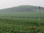 33142CIMG2378.JPG