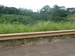 20218P1020073.JPG