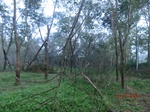 52900CIMG4990_调整大小.JPG
