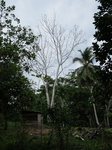 32099IMG_5582.jpg