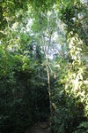 2024-08-05_16-50-35_CDBE09E0-9D23-4DBB-9486-D0BF09ED7167.jpeg
