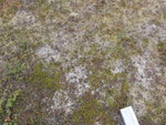 24905DSC00012.JPG