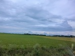 55911CIMG6634.JPG