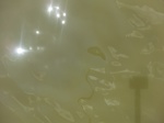 58562CIMG3012.JPG