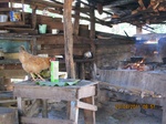 31843IMG_5435.JPG