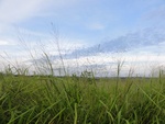 24876DSC01090.JPG