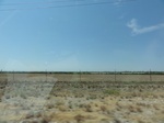 35018DSC01920.JPG