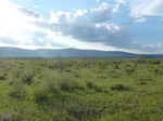 38170P1080095.JPG