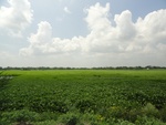 24618DSC00837.JPG