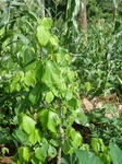 20120P1010971.JPG