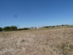 39271P1080032.JPG