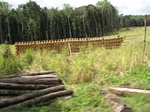 15465IMG_4534.JPG