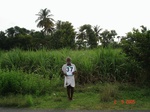 13356037b-irrigated-supplemental-groundwater-sugarcane-millet-sorgum-doublecrop.gif