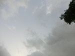 45784CIMG2869.JPG