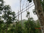 53333CIMG6618.JPG